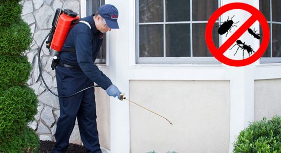 Polatlı Dezenfeksiyon böcek ilaçlama ve haşere kontrolü — ilaclama-tr.com